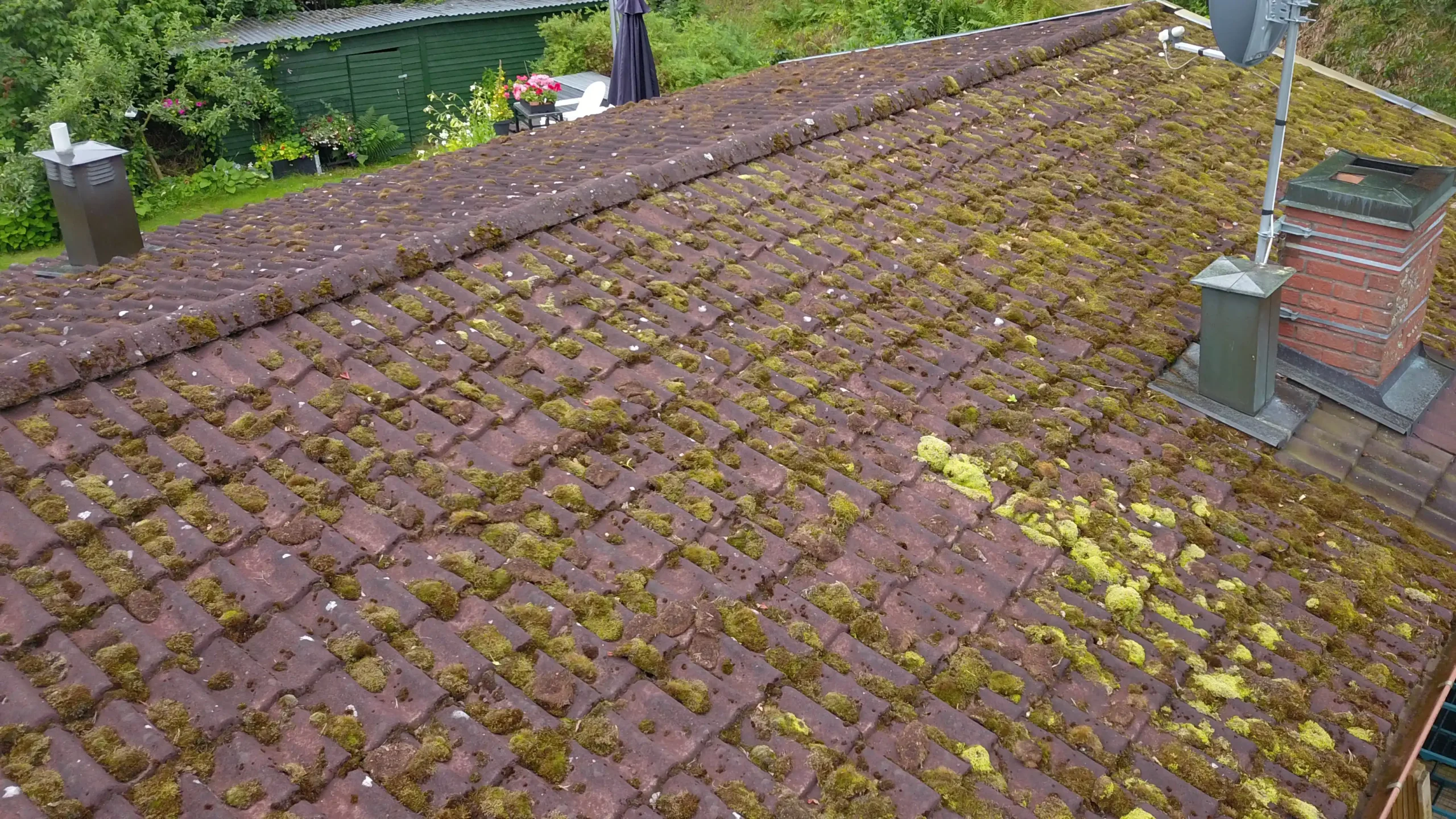 Hur får man bort mossan på taket? Effektiva metoder för att rengöra taket från mossa